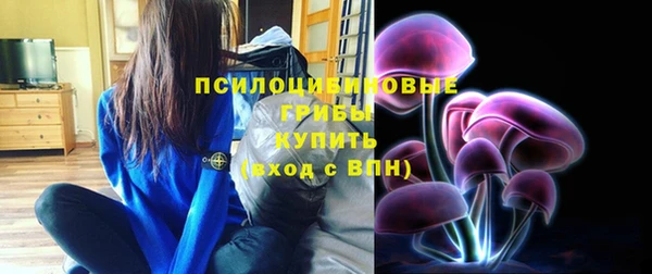 герыч Вязьма