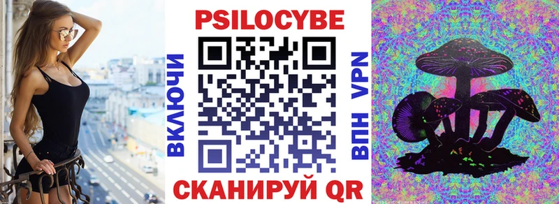 Псилоцибиновые грибы прущие грибы  сайты даркнета формула  Магас 
